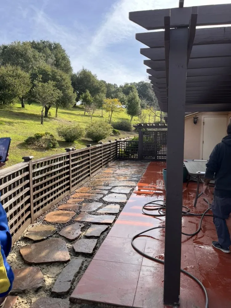 Top-rated yard cleanup service experts serving Redwood City, CA - Ray’s Gardening Service