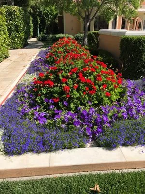 Ray’s Gardening Service Logo