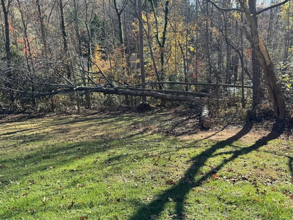 Top-rated landscape installation experts serving Morganton, NC - Ray’s Handyman Service