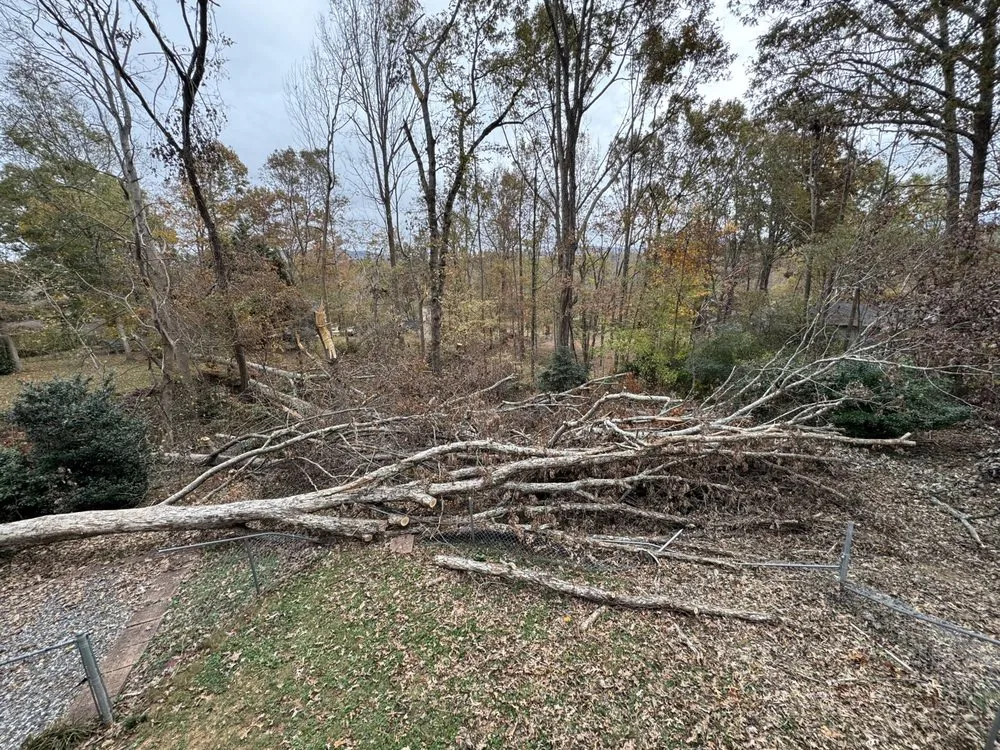 Local lawn care service for residential properties across Morganton, NC - Ray’s Handyman Service