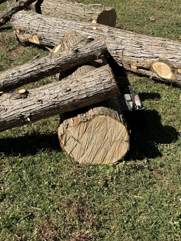 Custom yard cleanup service for beautiful yards in Morganton, NC by Ray’s Handyman Service