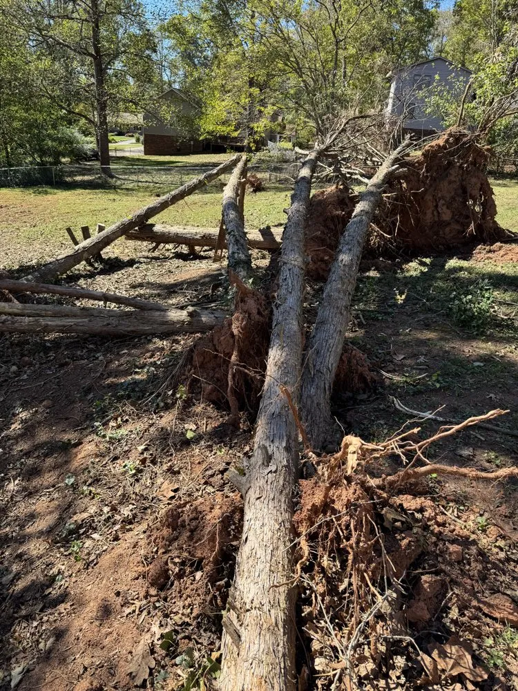 Top-rated lawn care service near you across Morganton, NC - Ray’s Handyman Service