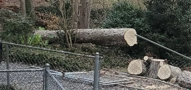 Professional outdoor landscaping with custom design in Morganton, NC by Ray’s Handyman Service