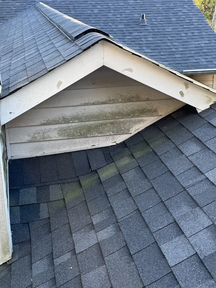 Local yard cleanup service experts serving Morganton, NC - Ray’s Handyman Service