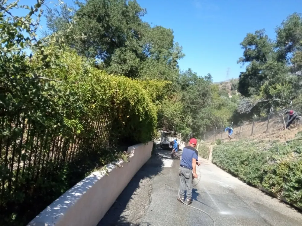 Custom landscape design experts serving Pasadena, CA - Ray's Landscape & Garden Service