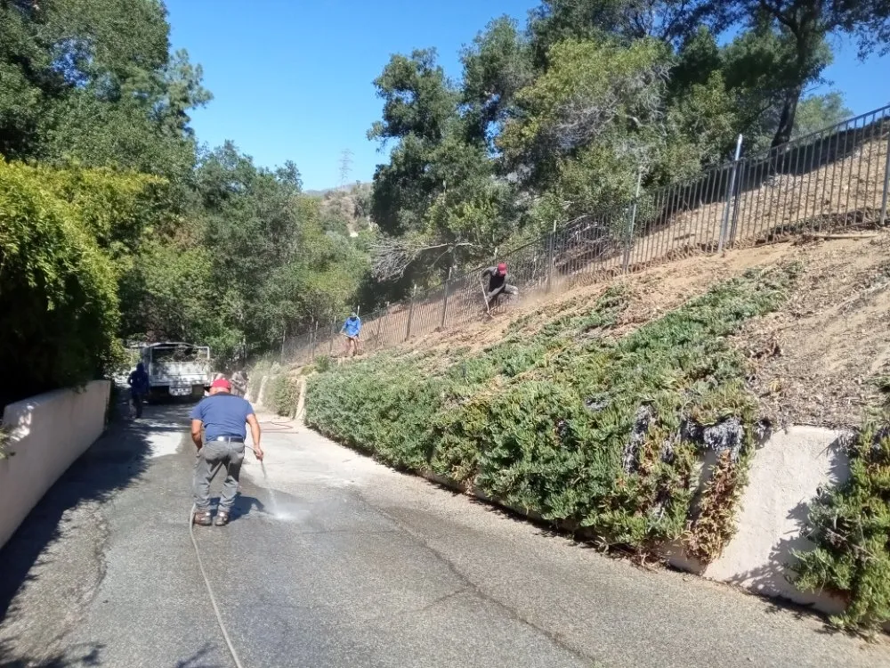 Reliable yard cleanup service experts serving Pasadena, CA - Ray's Landscape & Garden Service