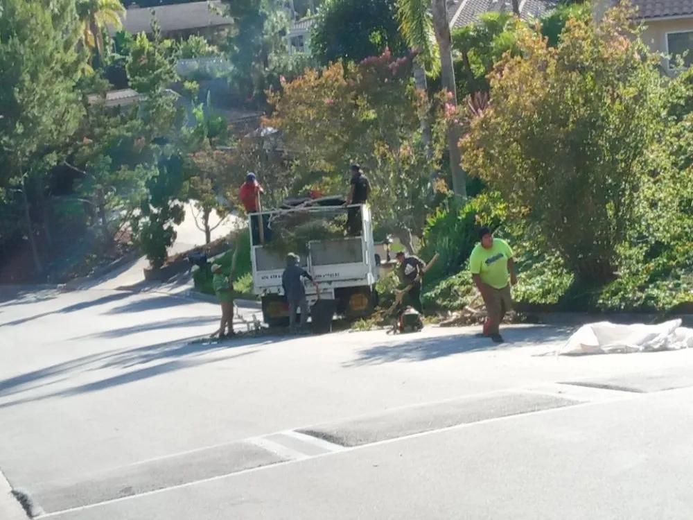 Reliable garden landscaping for year-round maintenance across Pasadena, CA - Ray's Landscape & Garden Service