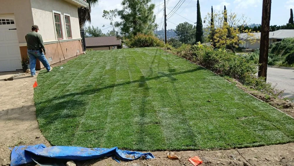 Custom landscaping services in Pasadena, CA by Ray's Landscape & Garden Service