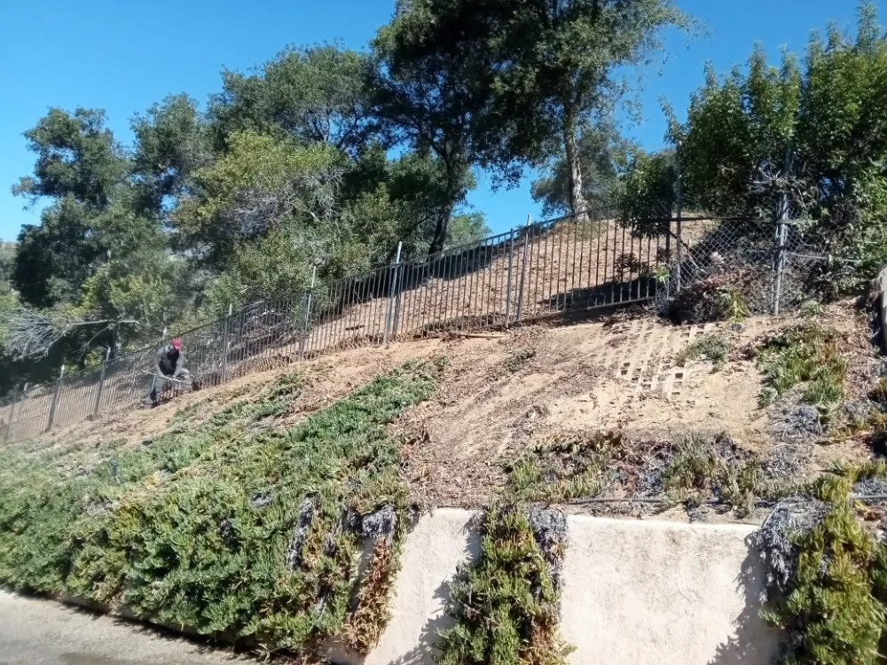 Top-rated lawn care service experts serving Pasadena, CA - Ray's Landscape & Garden Service