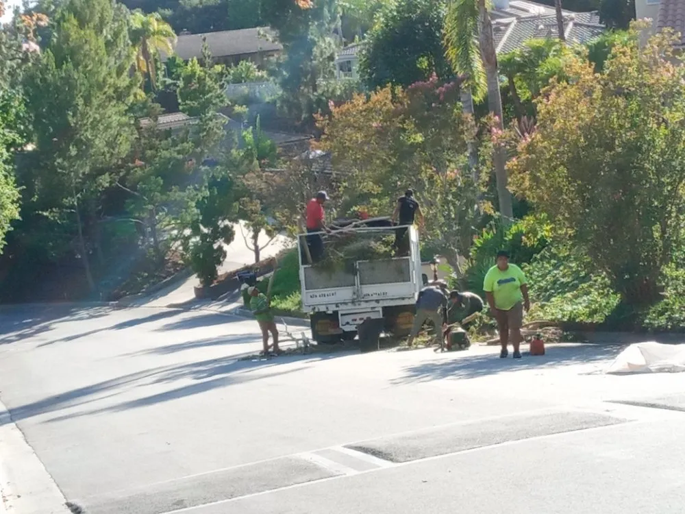 Local outdoor landscaping for outdoor upgrades in Pasadena, CA by Ray's Landscape & Garden Service