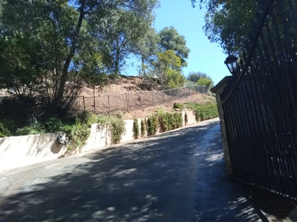 Expert landscape installation for outdoor upgrades across Pasadena, CA - Ray's Landscape & Garden Service