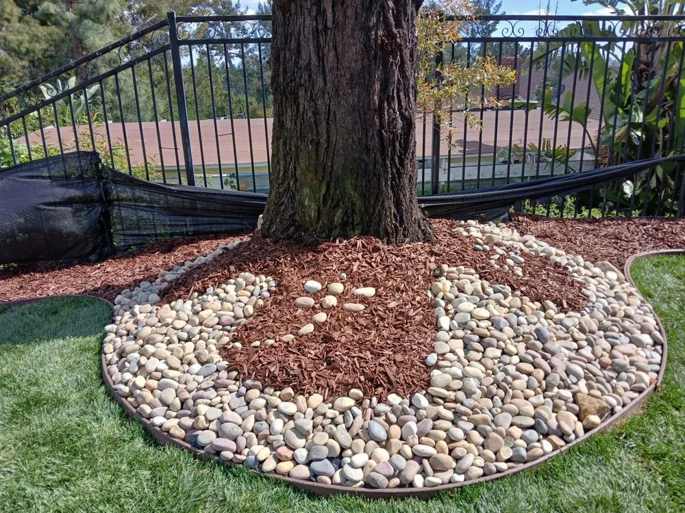 Affordable lawn care service experts serving Pasadena, CA - Ray's Landscape & Garden Service