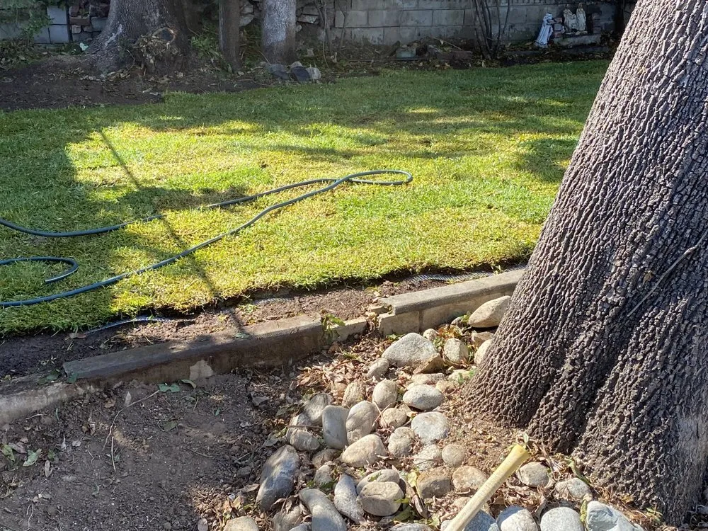 Affordable residential landscaping in Pasadena, CA - Ray's Landscape & Garden Service