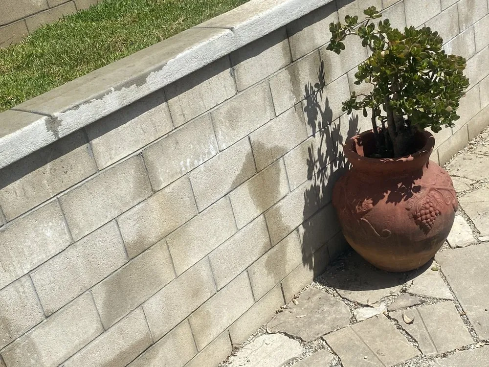 Reliable yard maintenance in Baldwin Park, CA by Rays Landscape and Garden Services