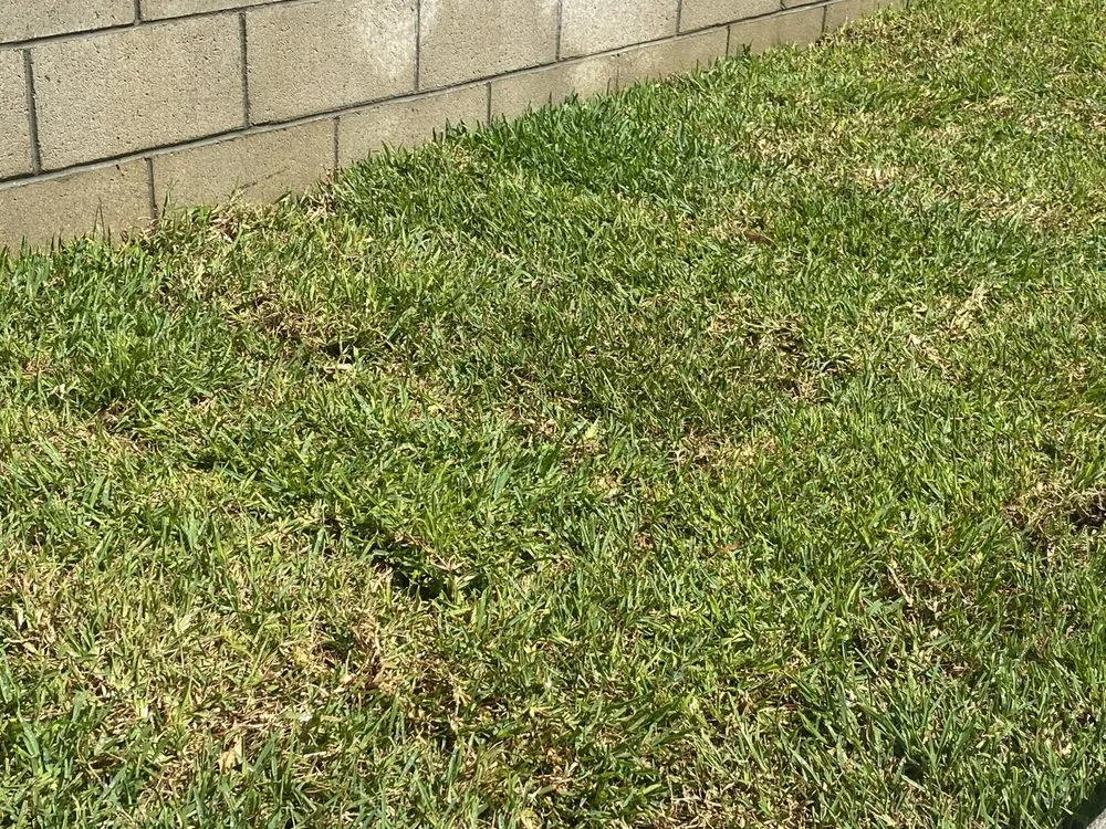 Reliable landscape installation with custom design across Baldwin Park, CA - Rays Landscape and Garden Services