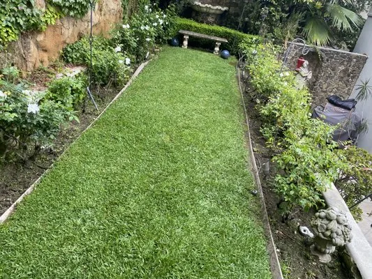 Rays Landscape and Garden Services Logo