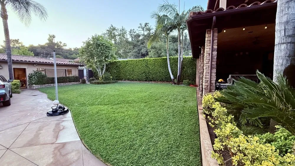 Professional yard maintenance in Monrovia, CA by Ray's Landscape