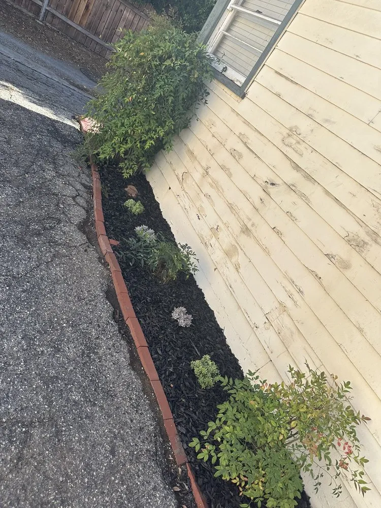 Professional lawn mowing service for beautiful yards in Monrovia, CA by Ray's Landscape