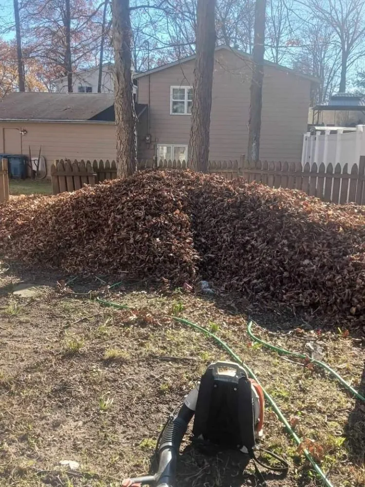 Professional yard maintenance for year-round maintenance across Elyria, OH - Rays Landscaping