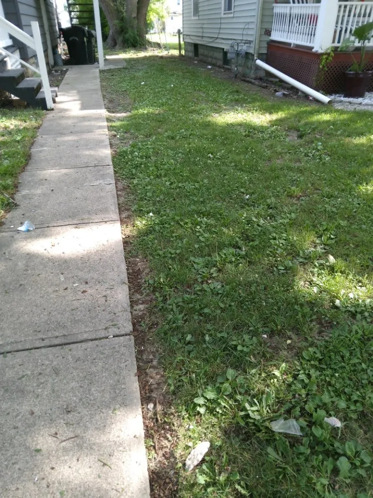 Trusted yard cleanup service for beautiful yards in Elyria, OH by Rays Landscaping