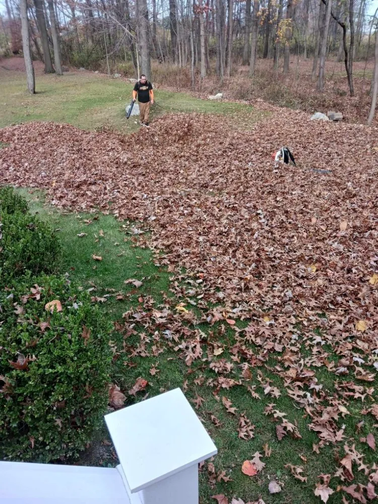 Trusted landscaping services for homes in Elyria, OH by Rays Landscaping