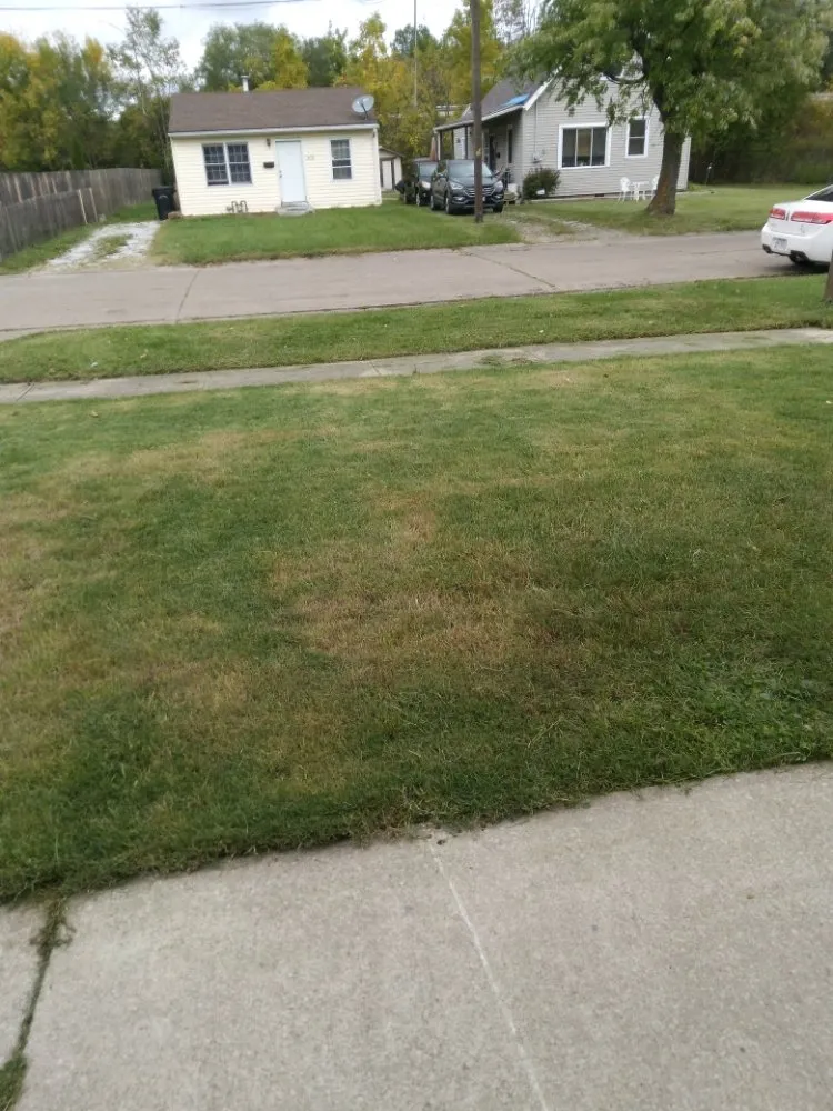 Professional outdoor landscaping in Elyria, OH - Rays Landscaping