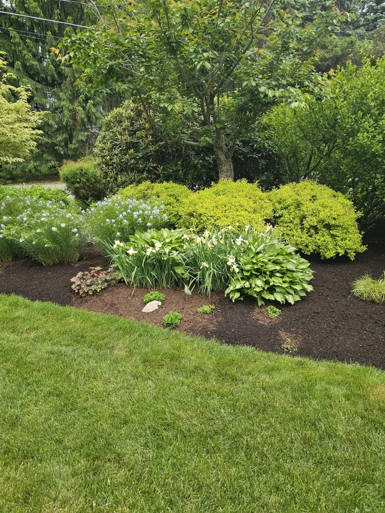 Expert landscape installation in Framingham, MA - Rays Landscaping