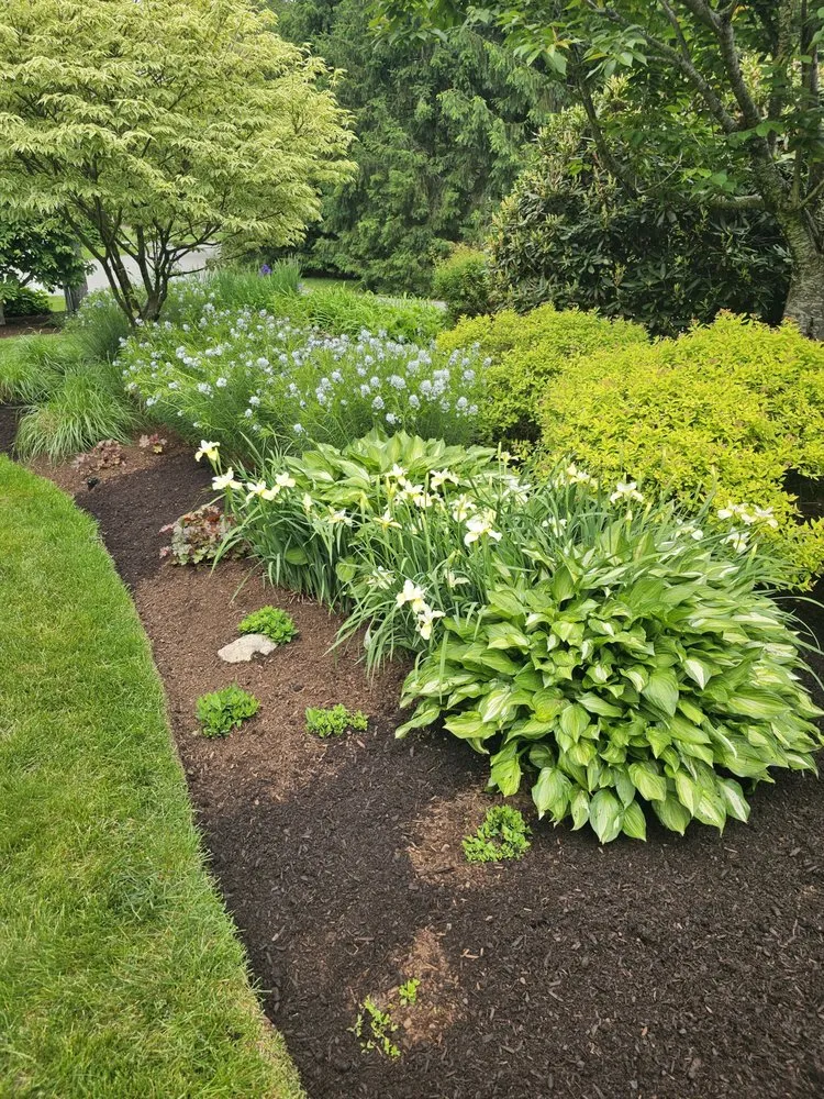 Trusted yard cleanup service in Framingham, MA - Rays Landscaping