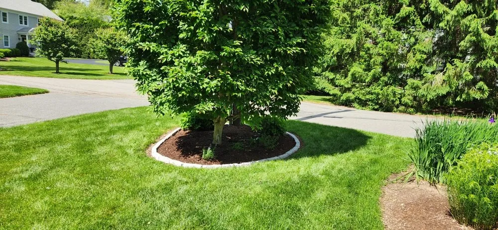 Custom yard maintenance for outdoor upgrades in Framingham, MA by Rays Landscaping