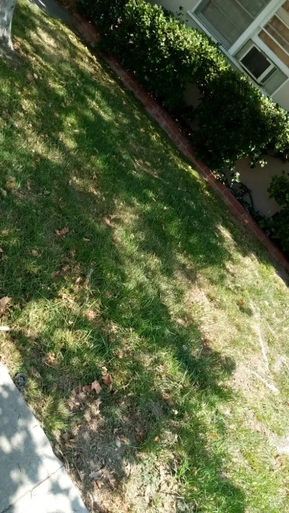 Local landscape installation in La Puente, CA - Ray's Landscaping