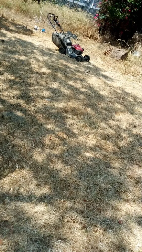 Top-rated landscape design in La Puente, CA by Ray's Landscaping