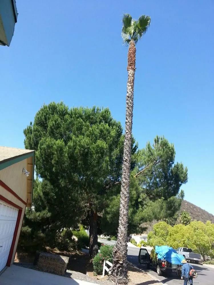 Top-rated landscape installation near you across Riverside, CA - Ray's Landscaping