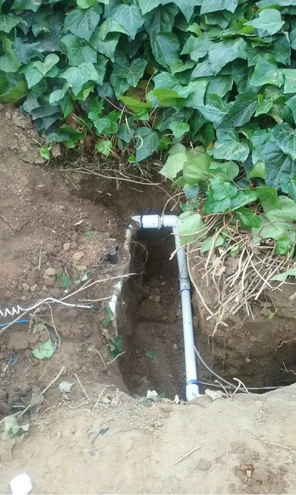 Professional yard cleanup service for residential properties across Riverside, CA - Ray's Landscaping