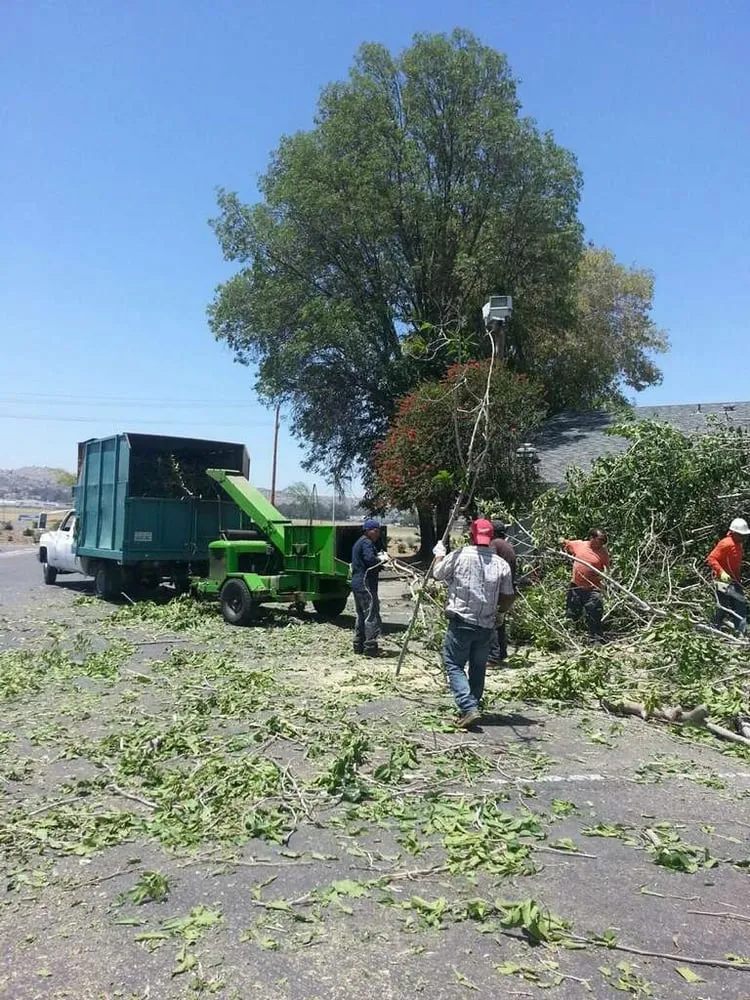 Custom landscape design for homes across Riverside, CA - Ray's Landscaping
