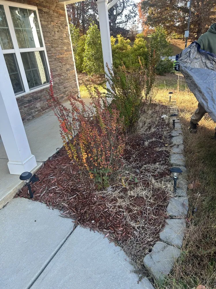 Expert yard cleanup service in Winston-Salem, NC - Ray's Landscaping
