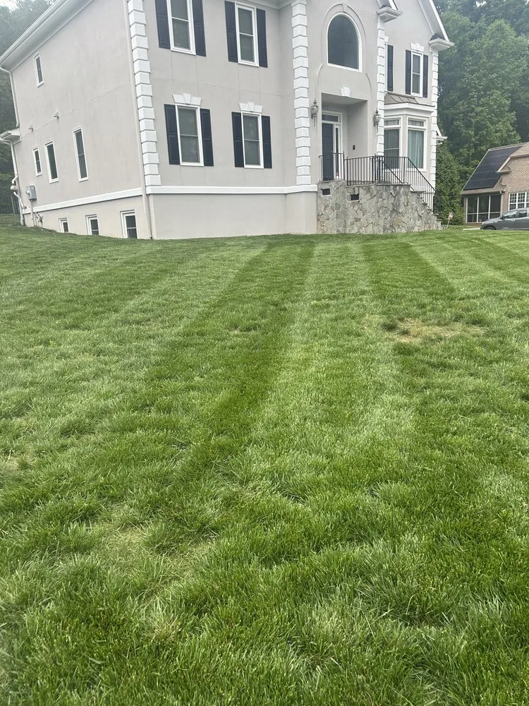 Professional lawn care service experts serving Winston-Salem, NC - Ray's Landscaping
