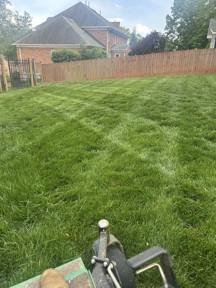Expert garden landscaping for year-round maintenance in Winston-Salem, NC by Ray's Landscaping