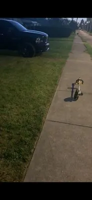 Ray's Lawn & Order Logo