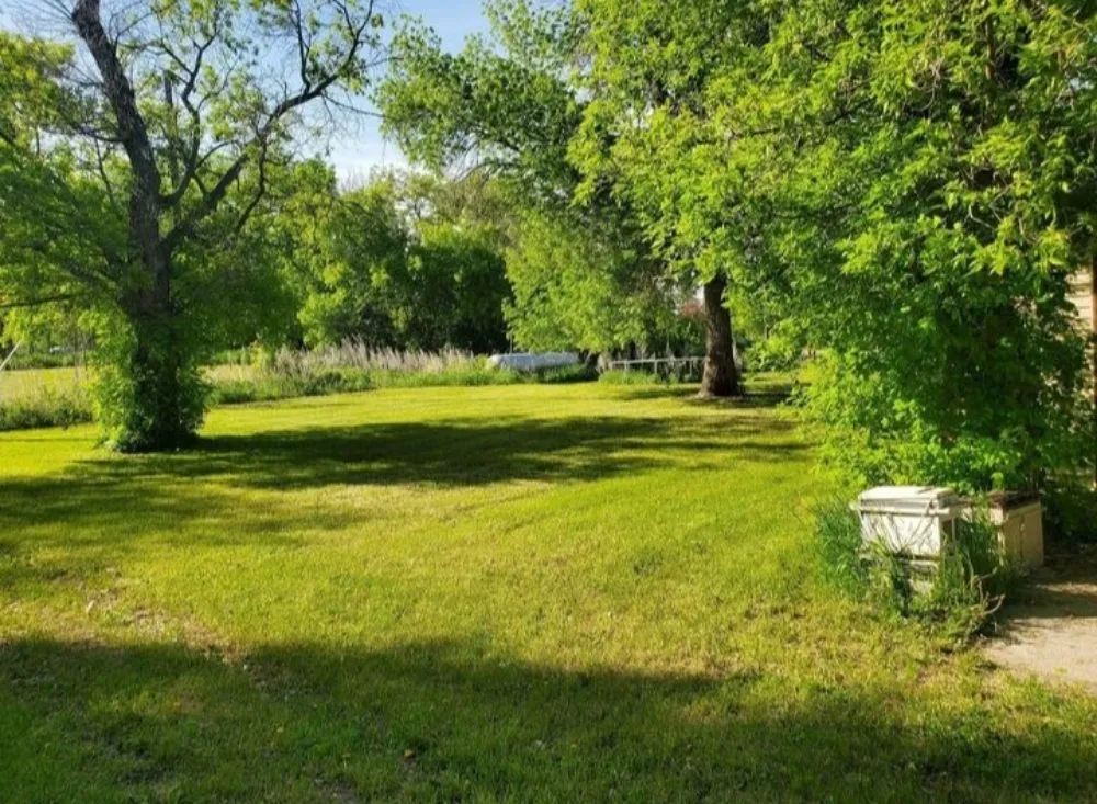 Local residential landscaping for year-round maintenance in Minneapolis, MN by Rays Lawn and Gardening Services