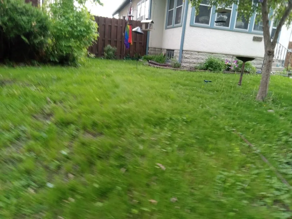 Local lawn care service for year-round maintenance across Minneapolis, MN - Rays Lawn and Gardening Services