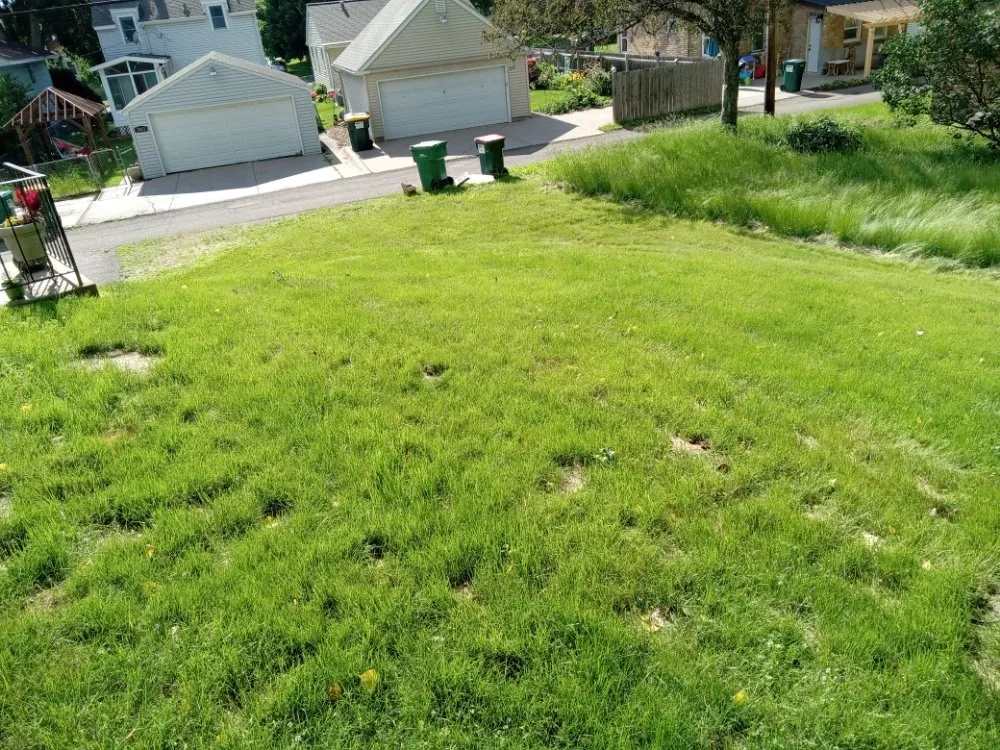 Professional landscape design with custom design in Minneapolis, MN by Rays Lawn and Gardening Services