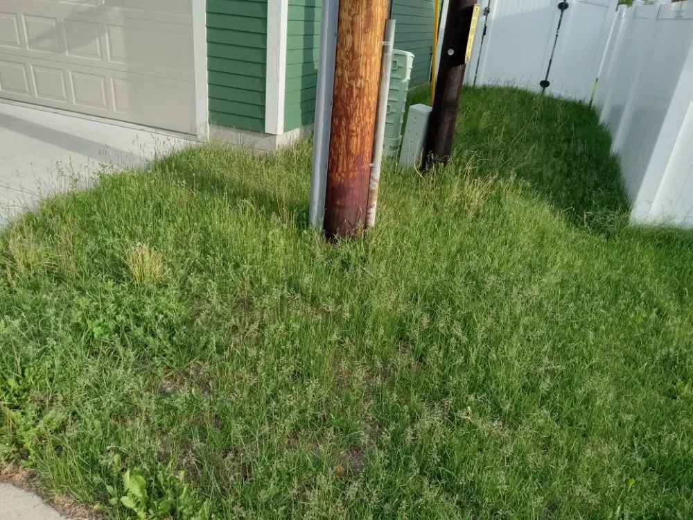 Local landscape design in Minneapolis, MN by Rays Lawn and Gardening Services