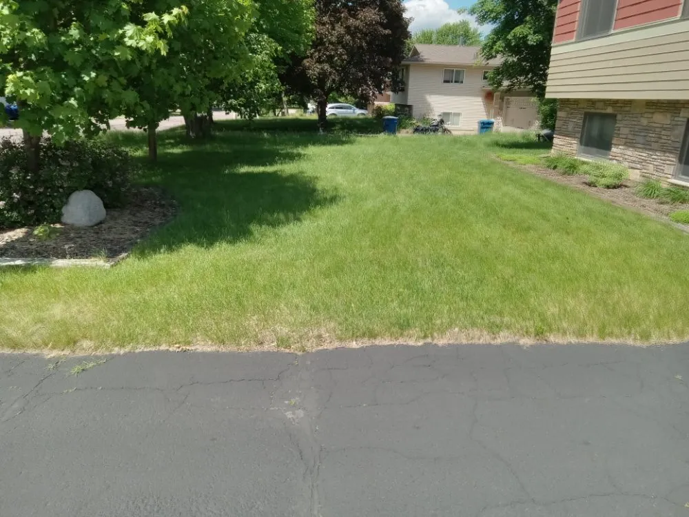 Trusted yard cleanup service in Minneapolis, MN by Rays Lawn and Gardening Services