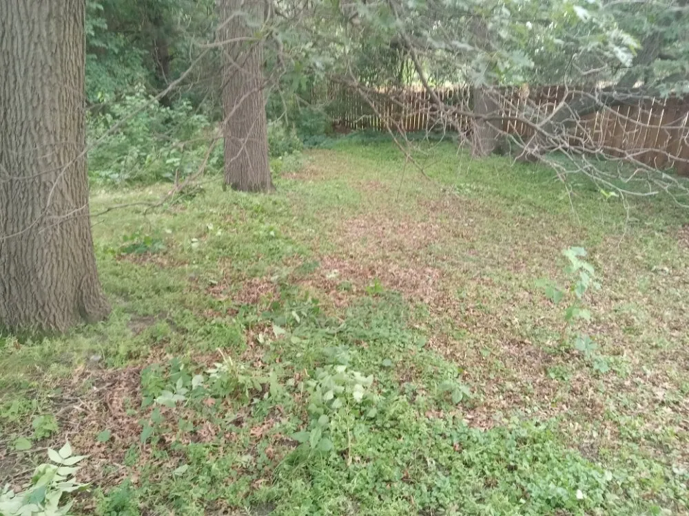 Affordable landscaping services with custom design in Minneapolis, MN by Rays Lawn and Gardening Services