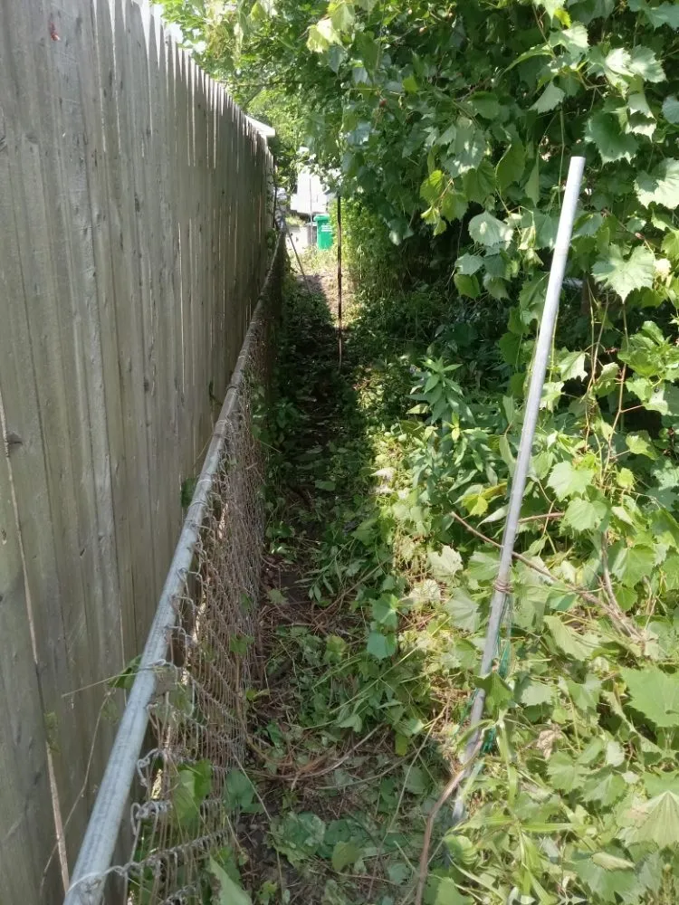 Trusted lawn care service experts serving Minneapolis, MN - Rays Lawn and Gardening Services