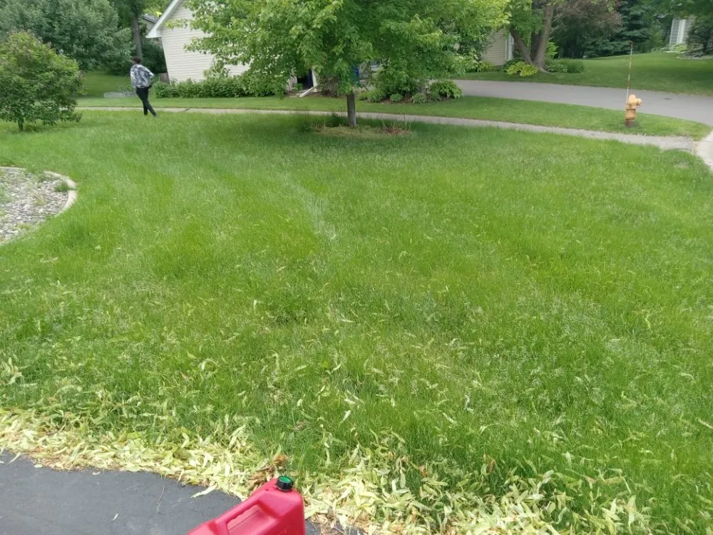 Reliable residential landscaping near you across Minneapolis, MN - Rays Lawn and Gardening Services