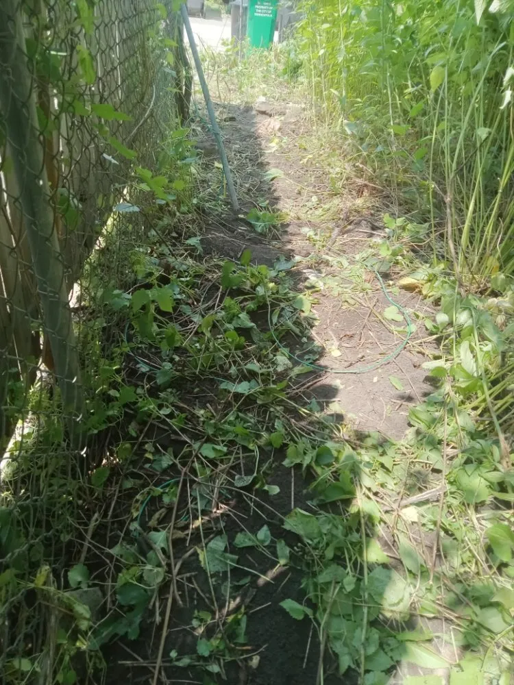 Top-rated landscape design in Minneapolis, MN by Rays Lawn and Gardening Services