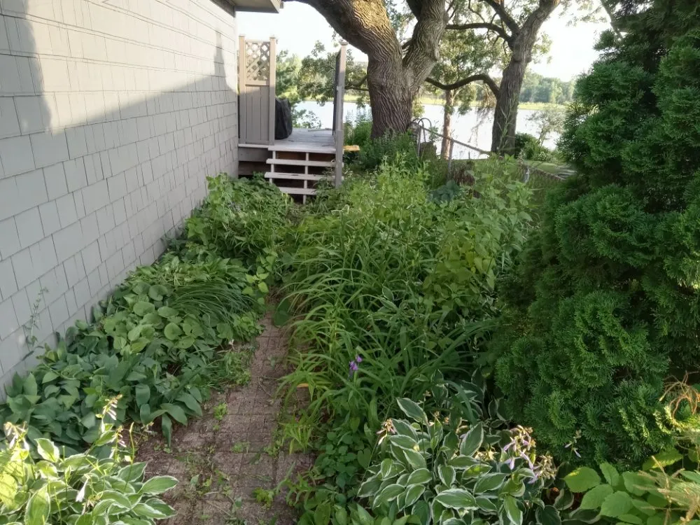 Affordable landscape installation in Minneapolis, MN by Rays Lawn and Gardening Services