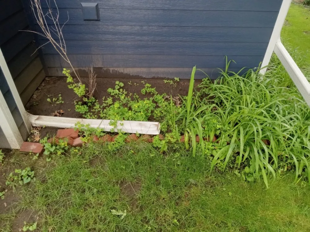 Top-rated outdoor landscaping in Minneapolis, MN - Rays Lawn and Gardening Services