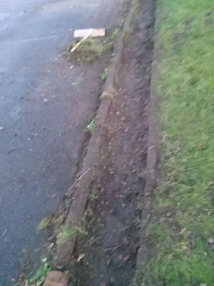 Custom outdoor landscaping near you in Minneapolis, MN by Rays Lawn and Gardening Services